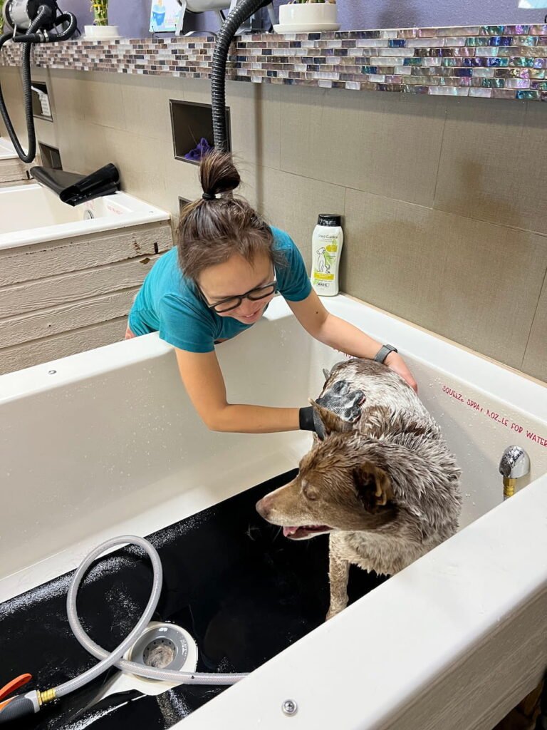 Sheila gets a needed wash
