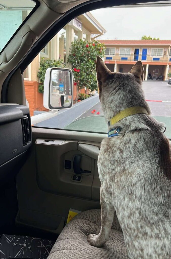 Sheila got a little taste of riding in the front seat