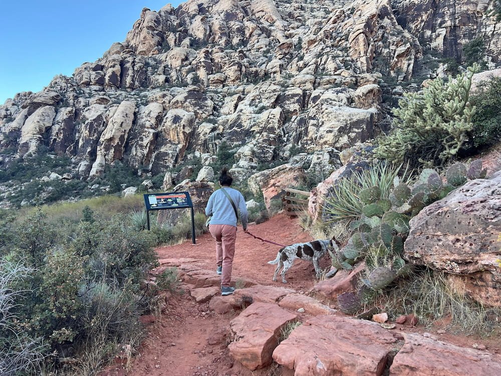 The Petroglyph Wall trail