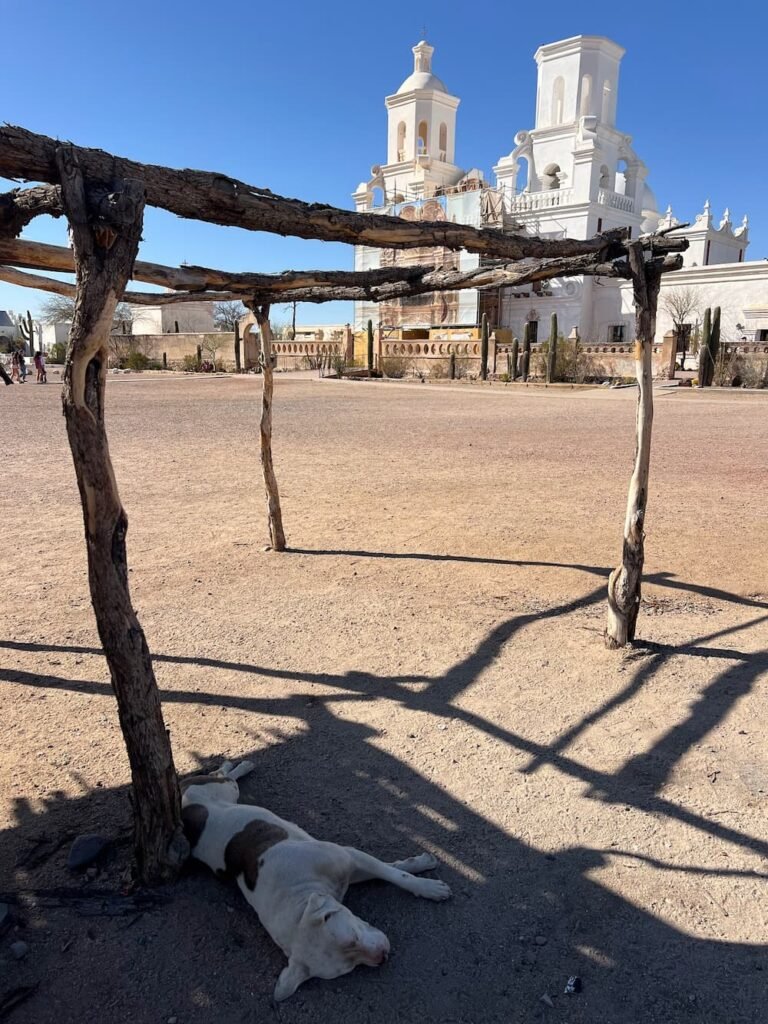 A dog sleeps out front of the San Xavier Del Bac Mission