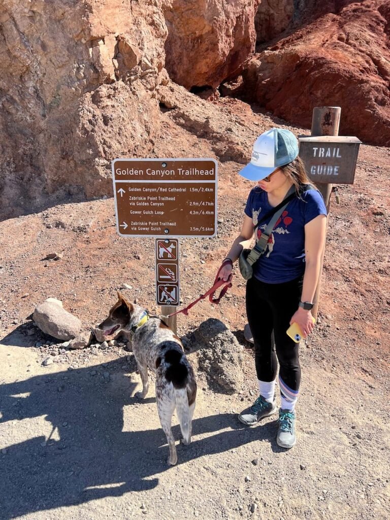 At the trailhead