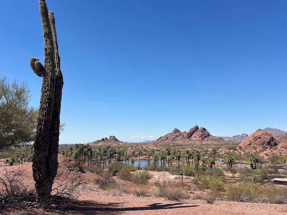 Desert oasis