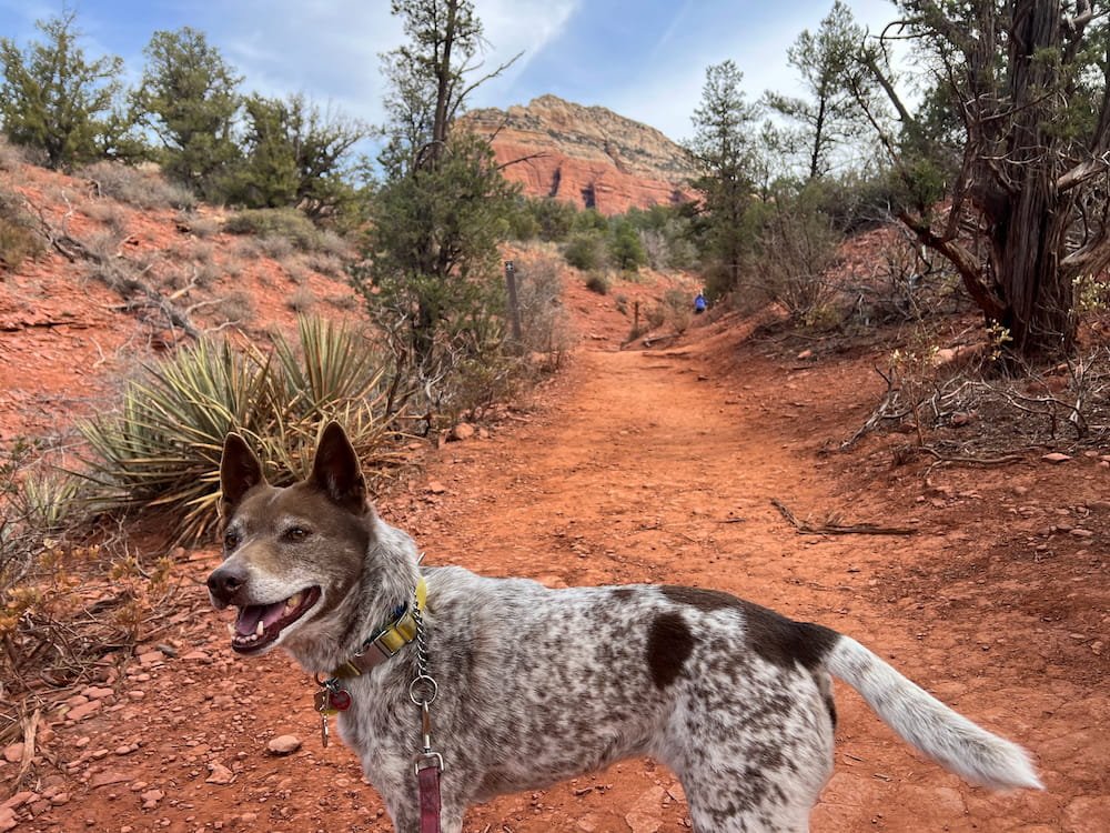 Happy Sheila ready to hike