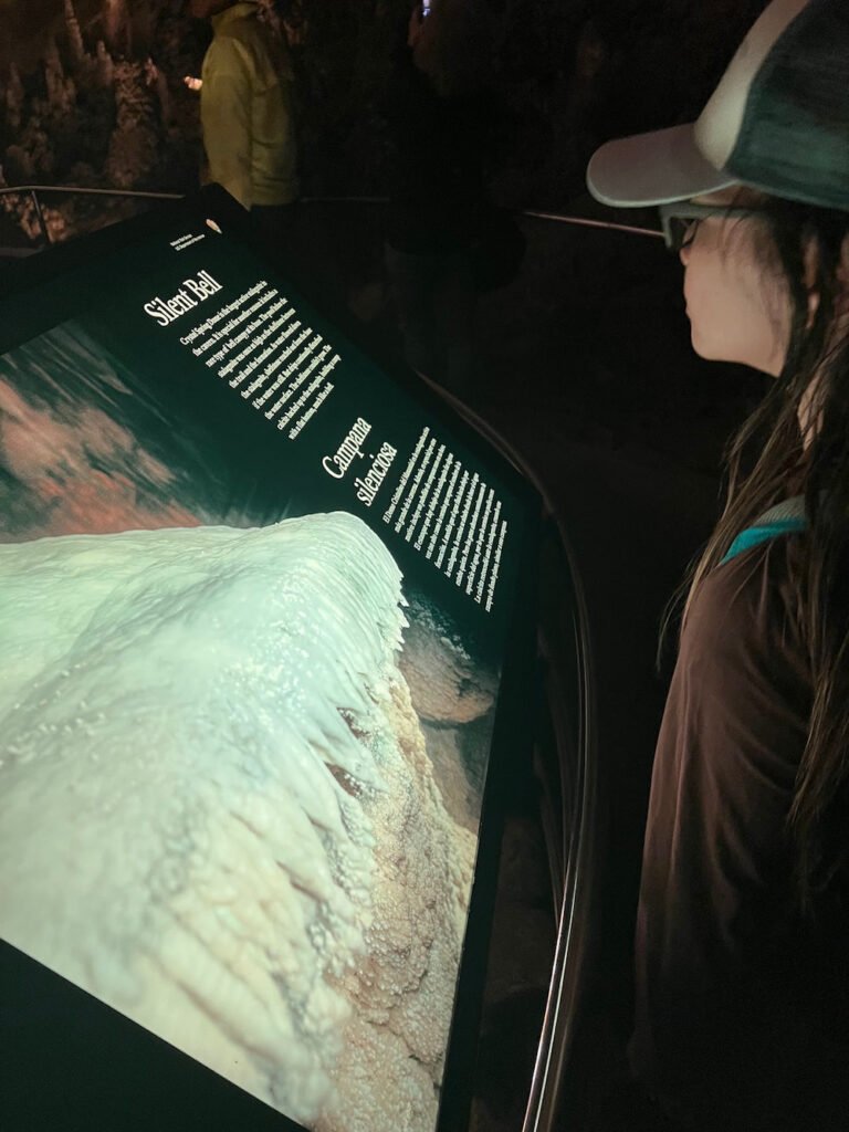 Reading one of the signs