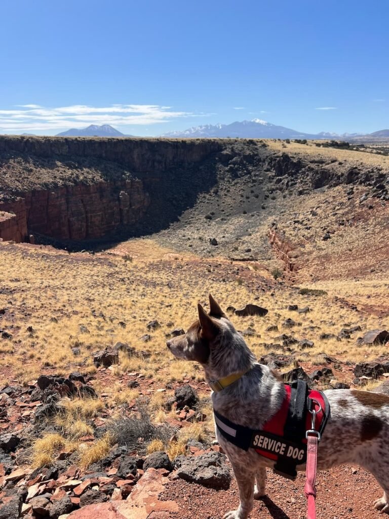 Sheila on the lookout