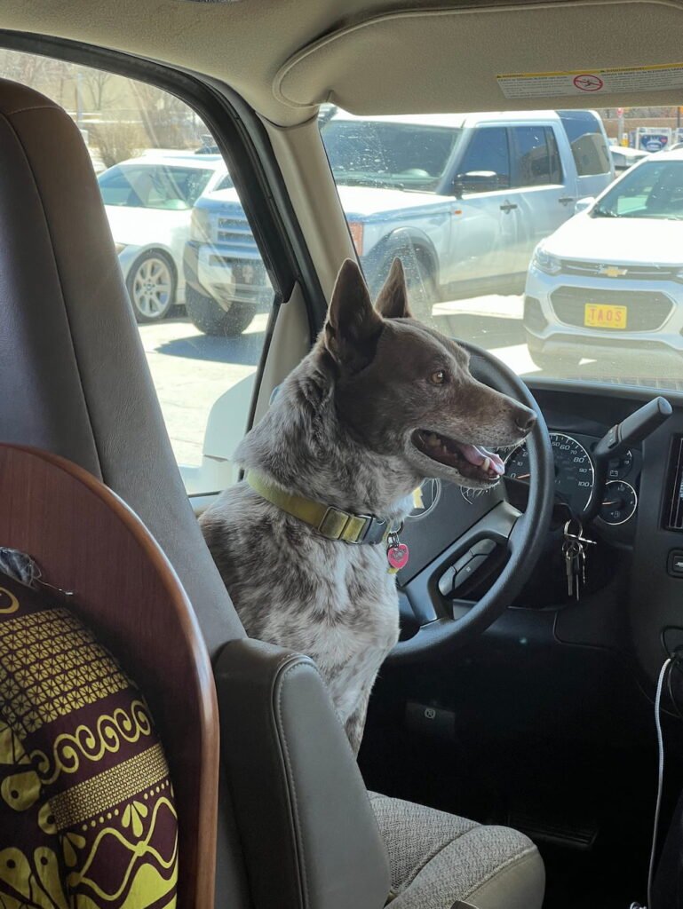 Sheila's new favorite seat is as the driver