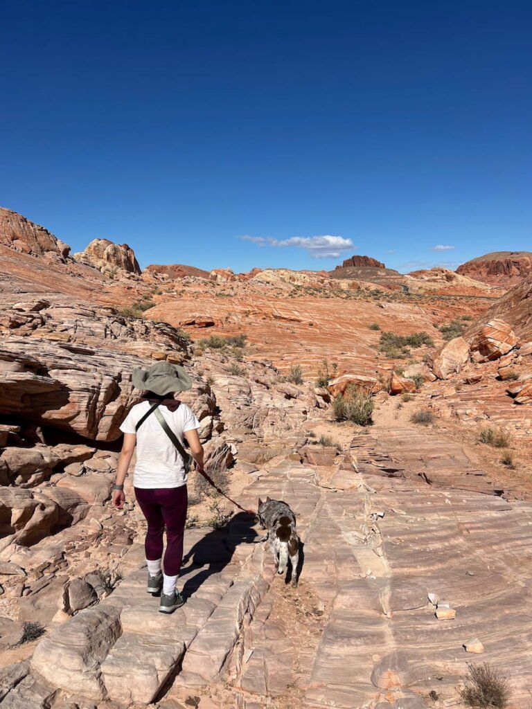 Starting our hike