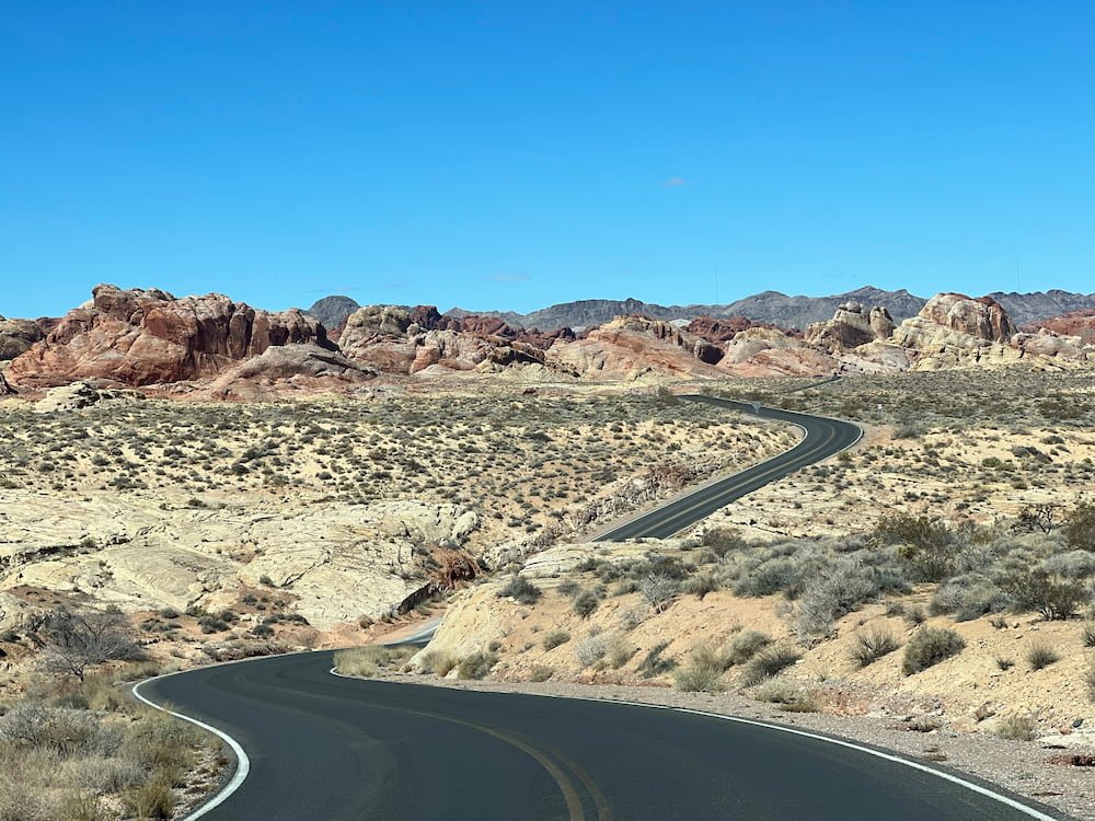 The winding road through the park