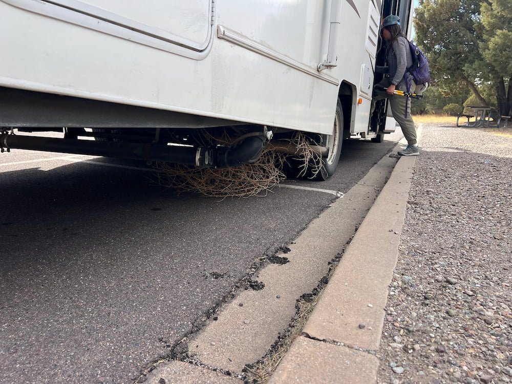 Tumbleweed stuck under the RV