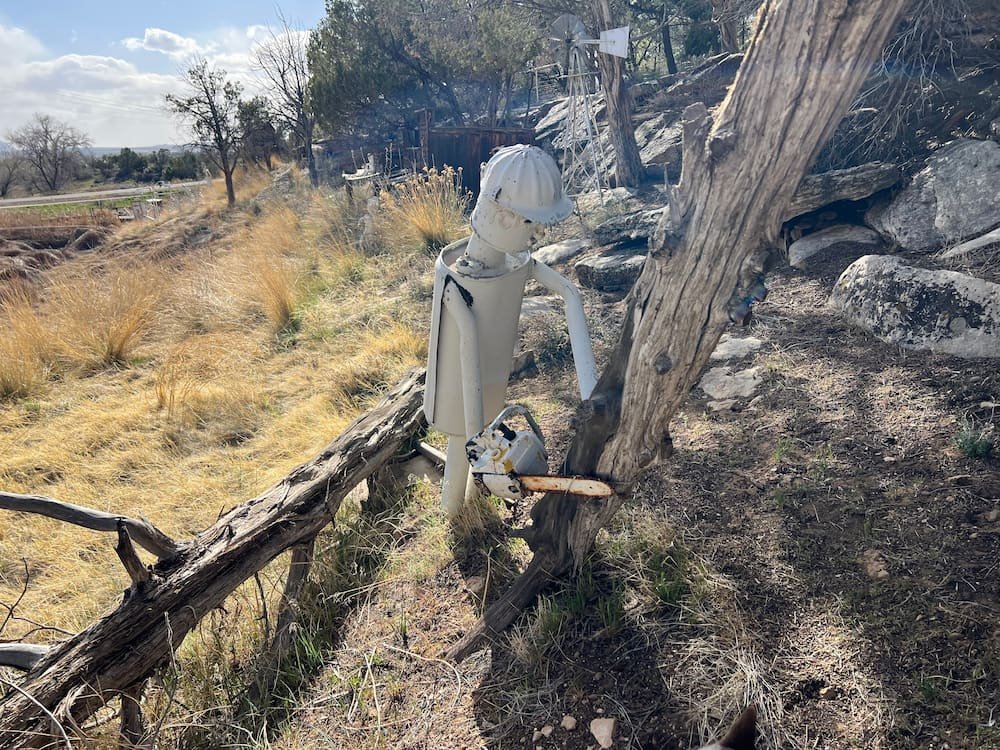 Chainsaw man