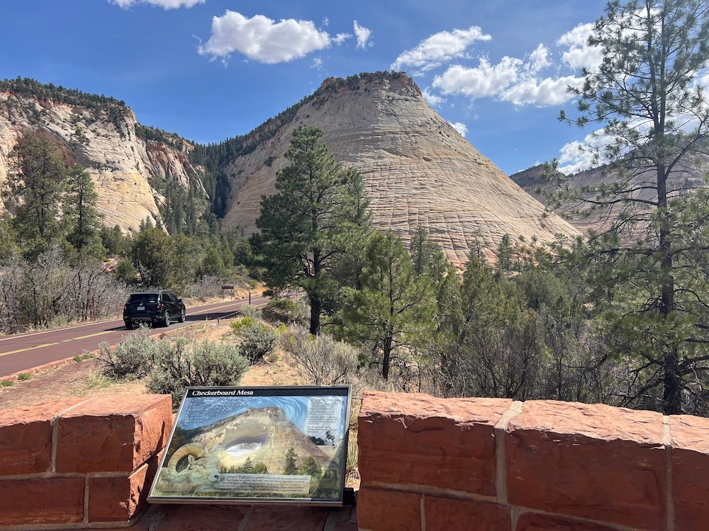 Checkerboard Mesa in Zion