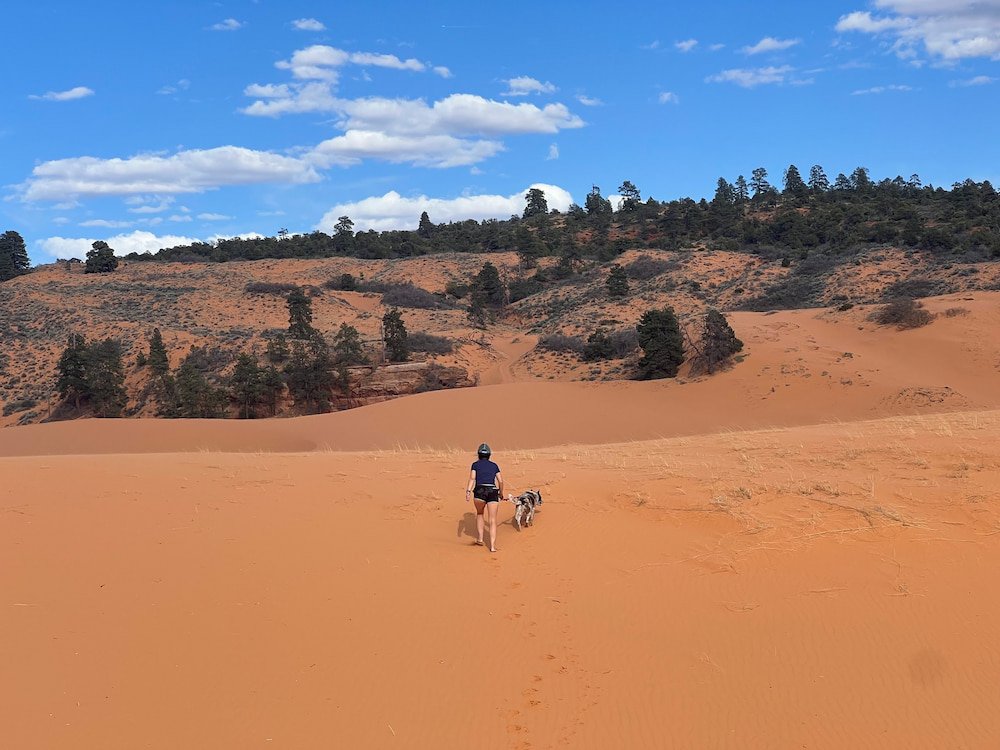 Climbing the sand dunes