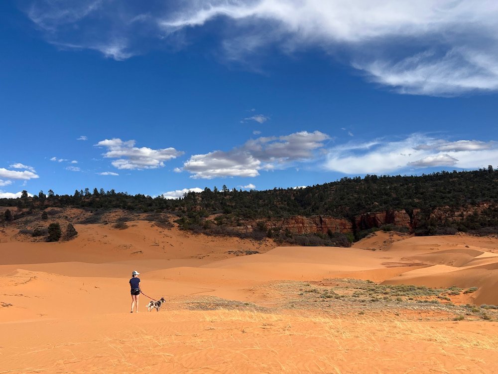 Coral Pink Sand Dunes