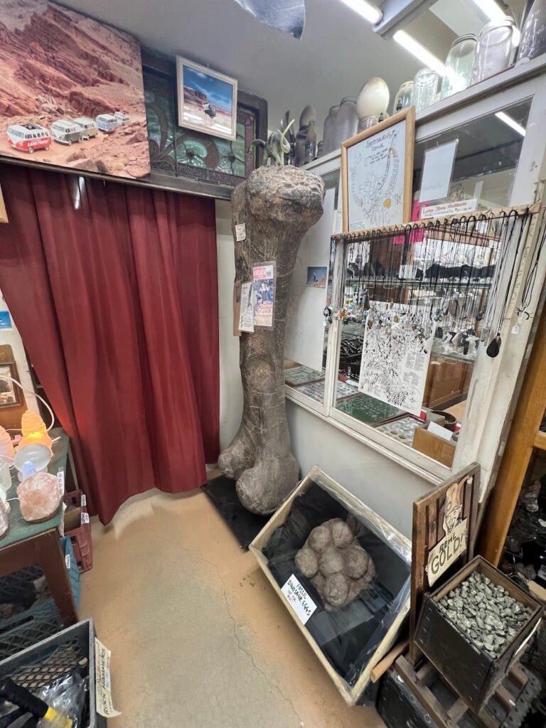 Dino femur