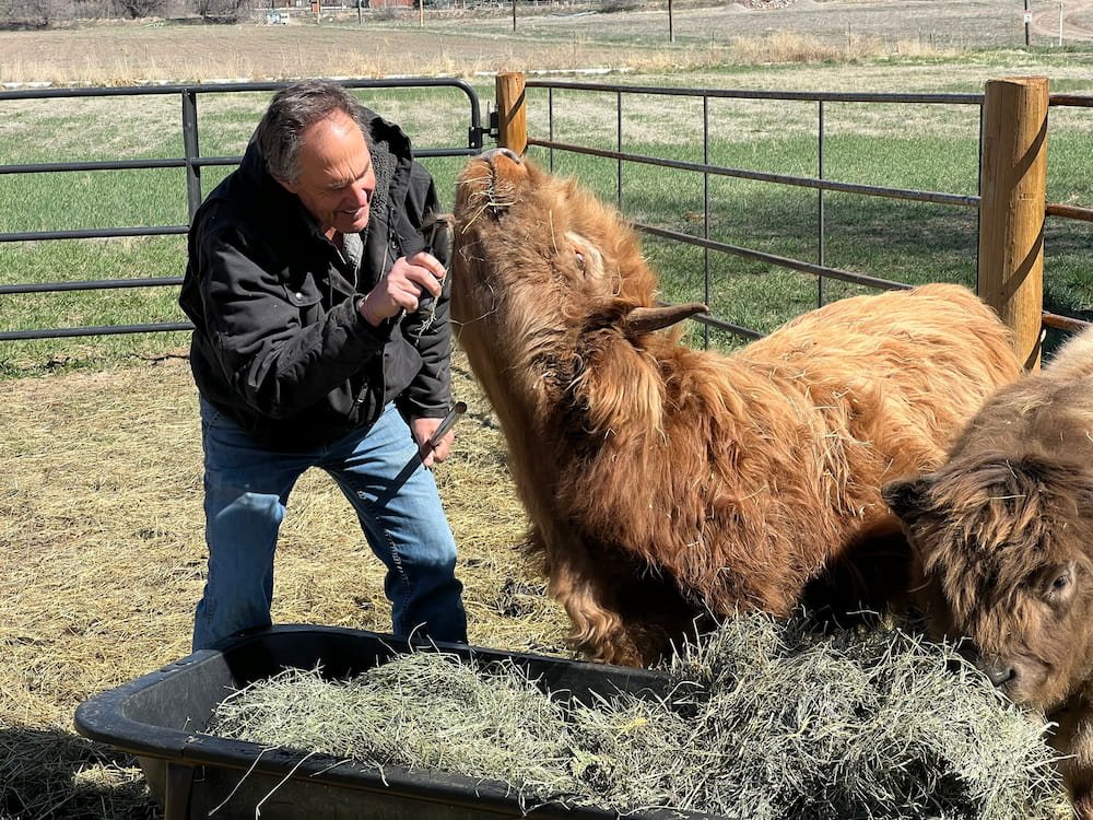 Ferdinand getting some grooming