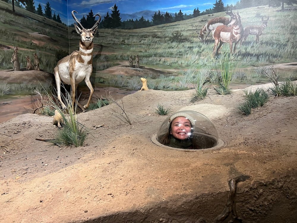 Lisette inside the Prairie Dog display