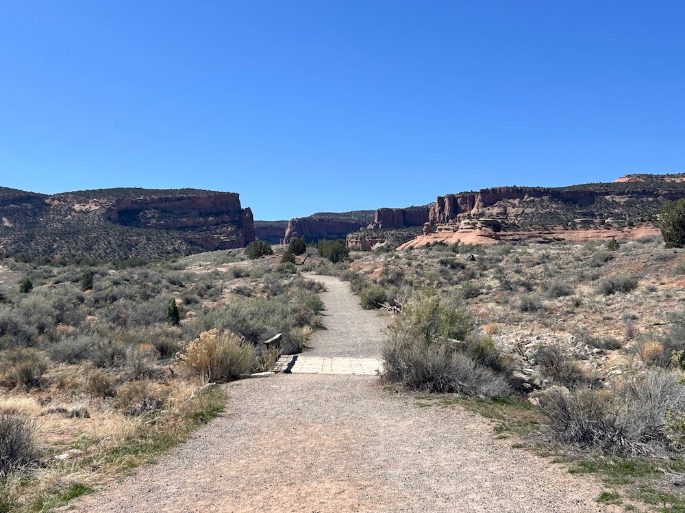 Looking up the trail
