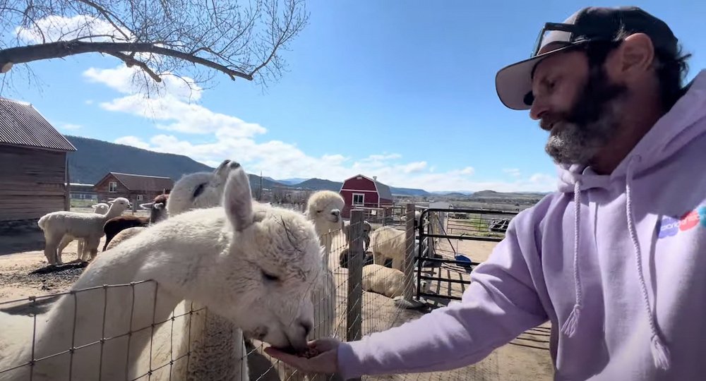 Michael feeding them