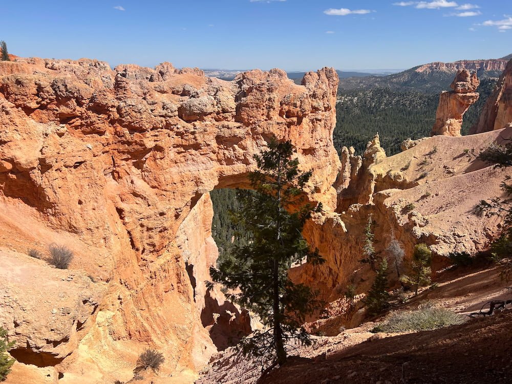 Natural bridge