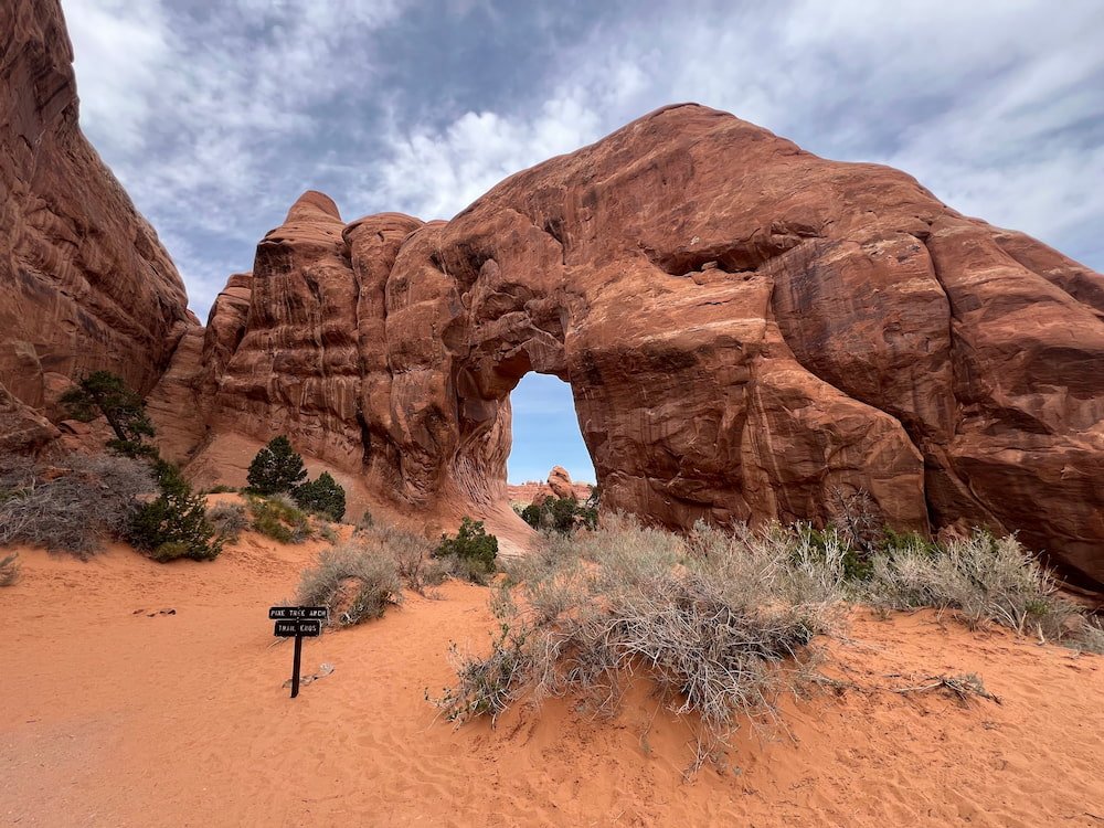 Pine Tree Arch