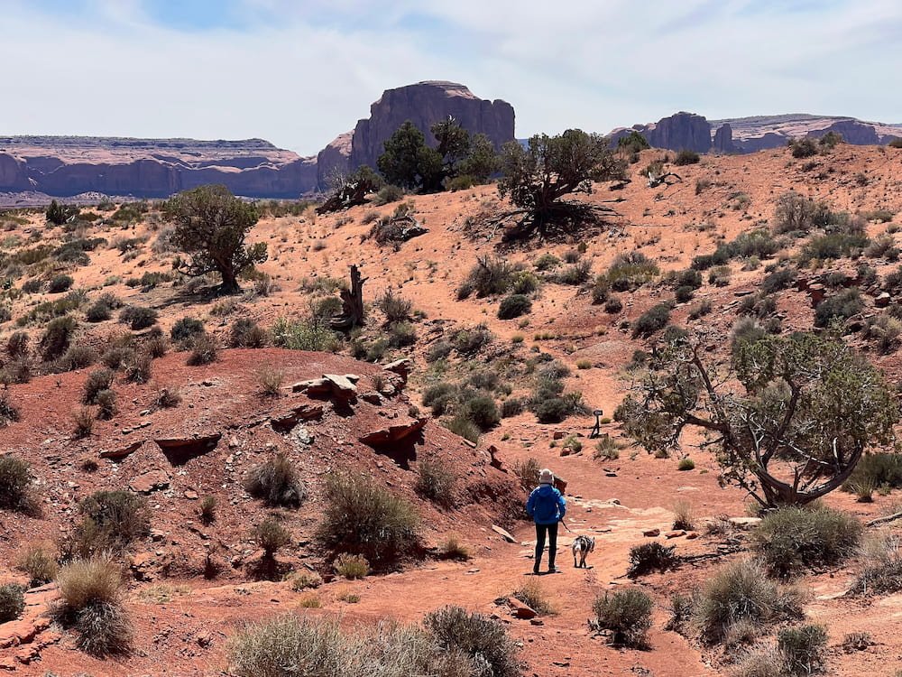 Rugged landscape
