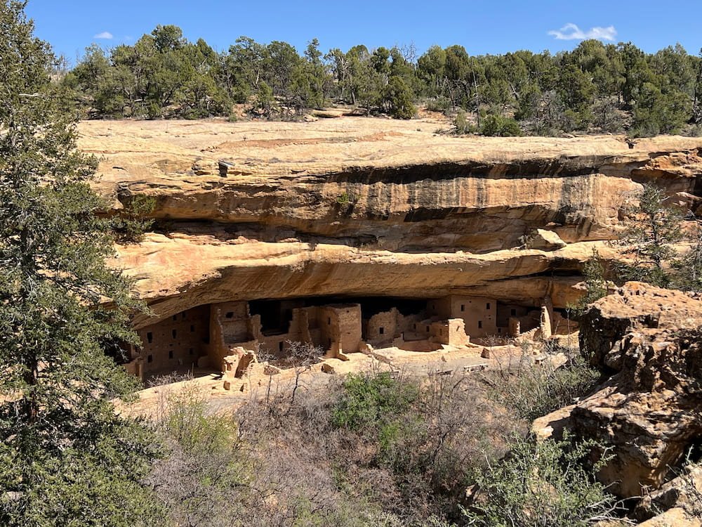 Spruce Tree House