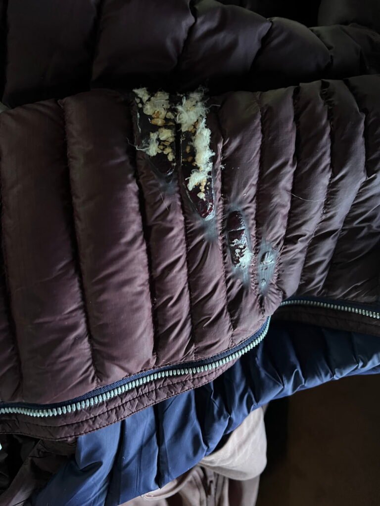 The damage to Lisette's jacket