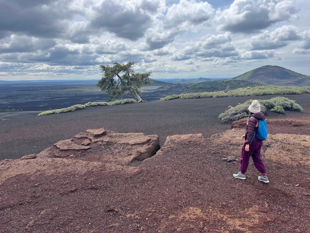 At the summit there was a lone tree