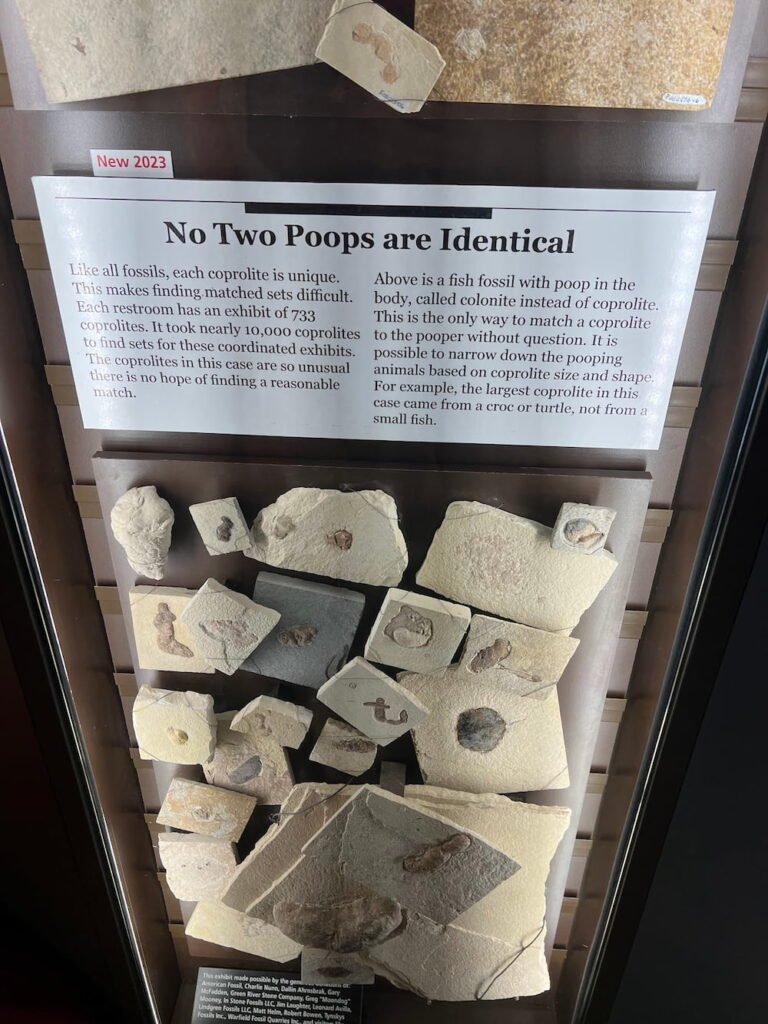 Fossil poop
