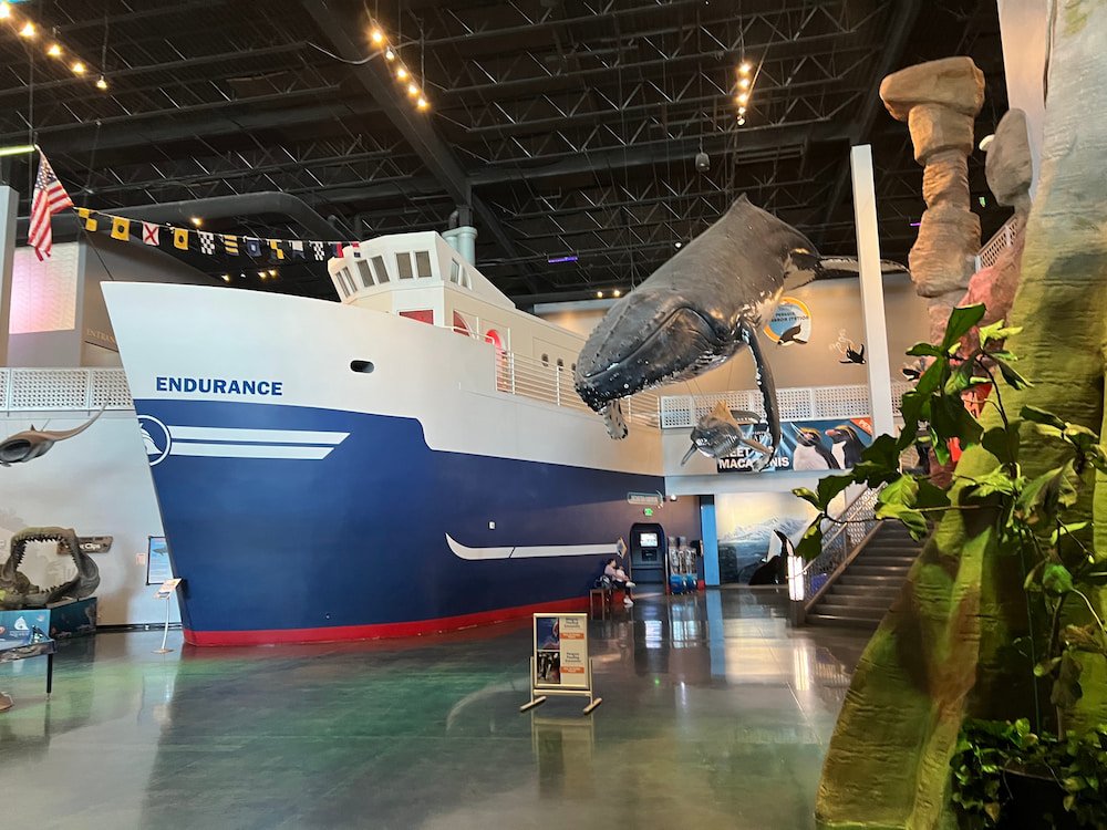 Inside the aquarium