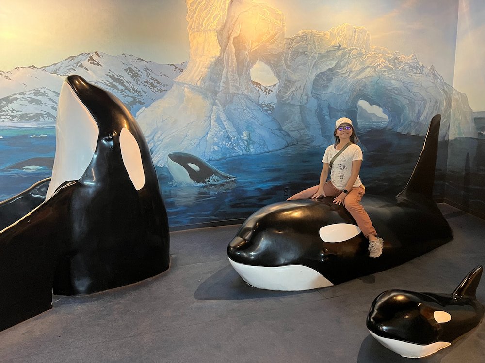 Lisette riding an orca