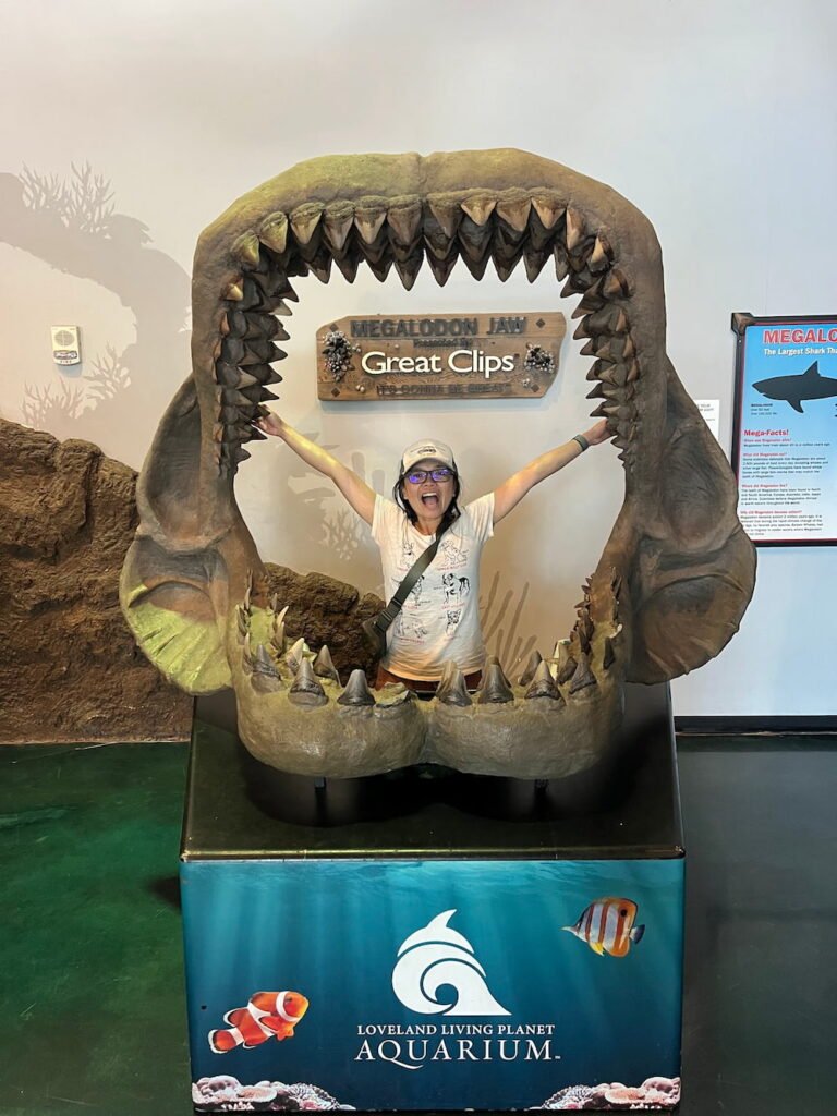 Megalodon jaws