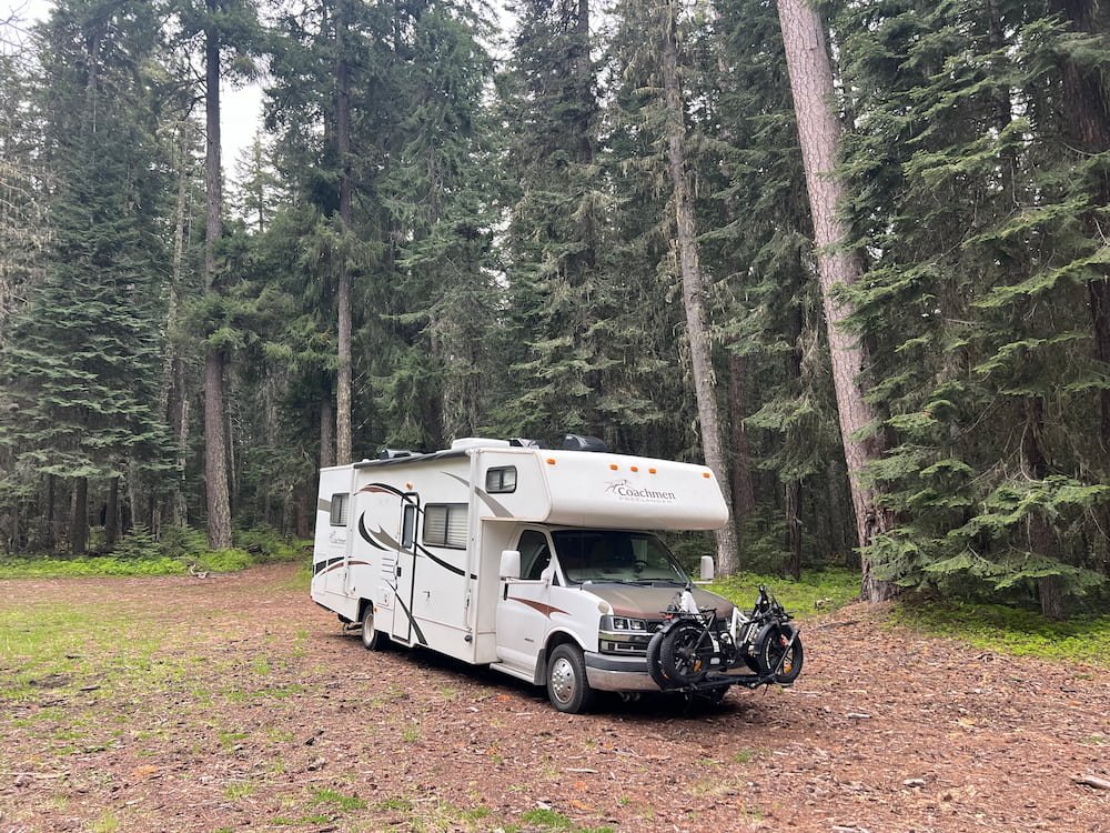 Our campsite in the woods