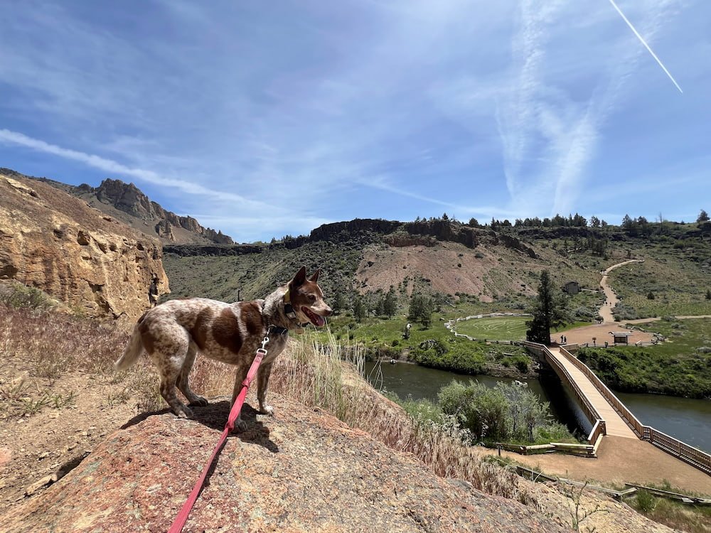Sheila the rock climber