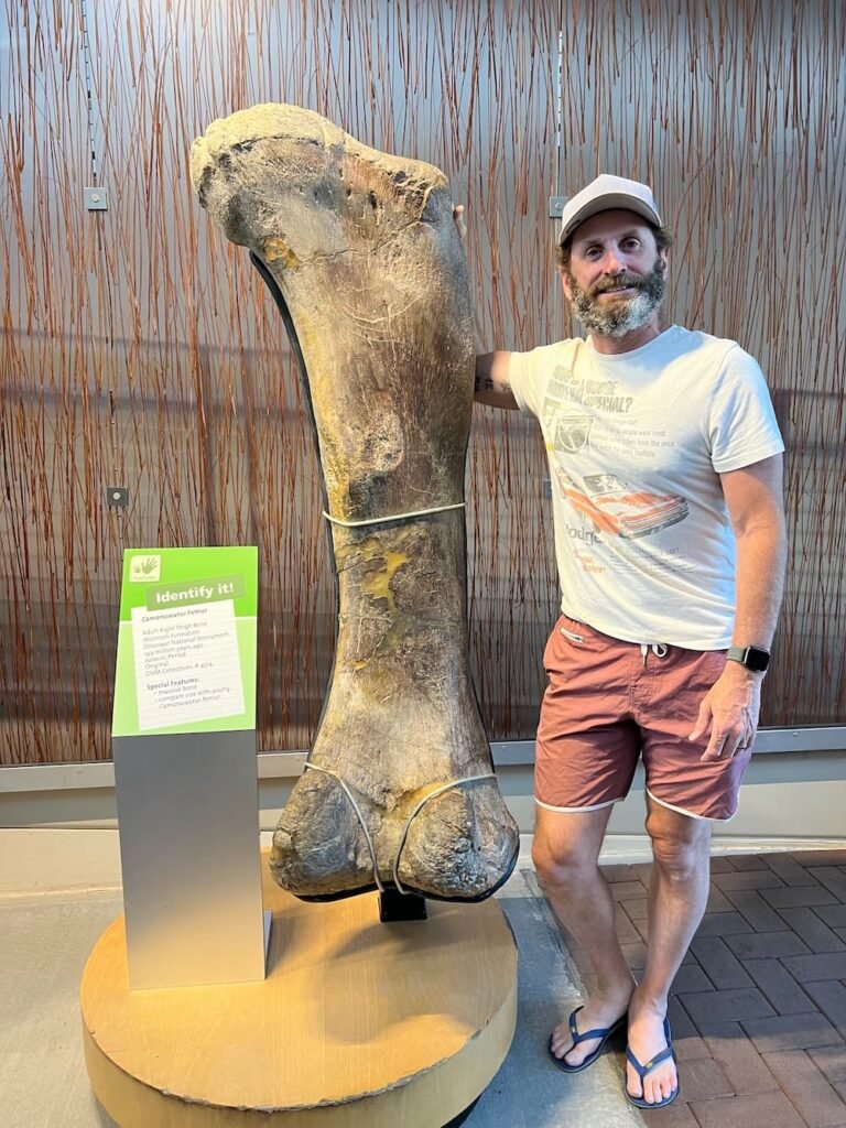 That's a big bone for Sheila