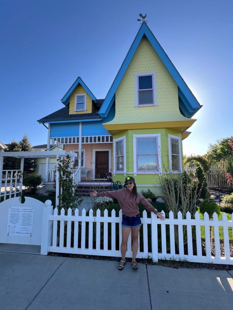 The Up house