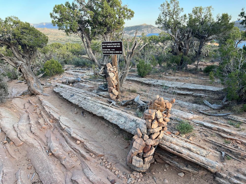 Trail markers