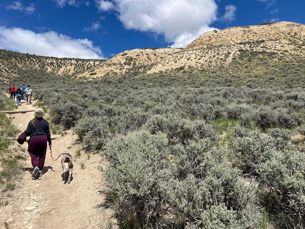 Trek up to see where they are digging for fossils