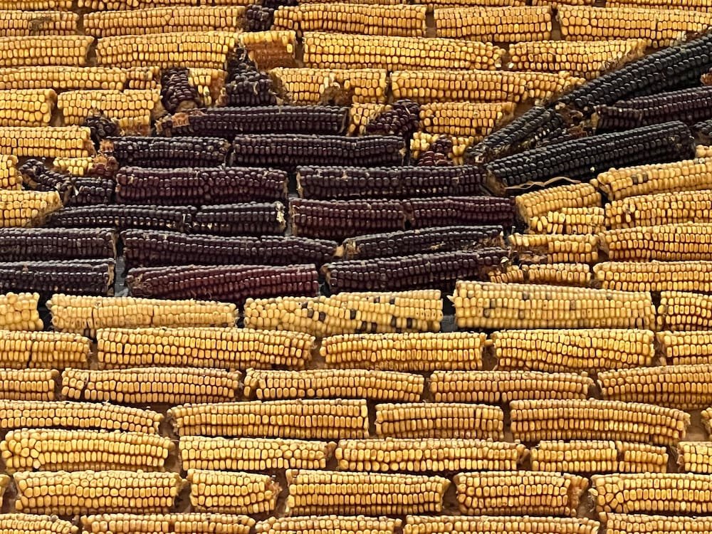 Close up of the corn art