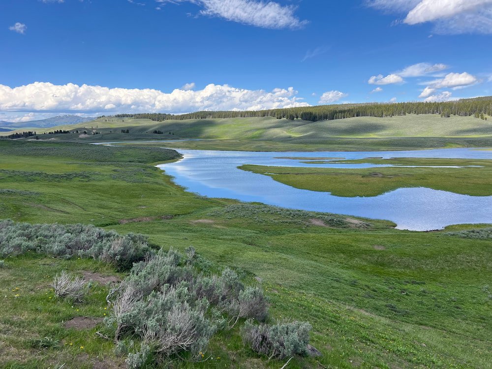 Hayden Valley