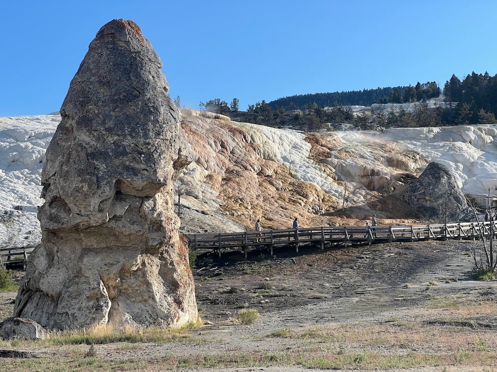 Liberty Cap
