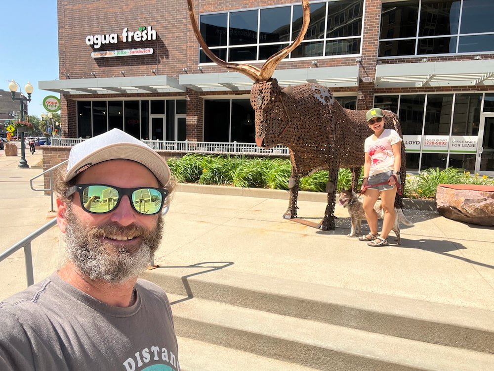 Longhorn sculpture