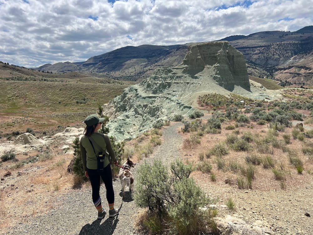 More blue-green features