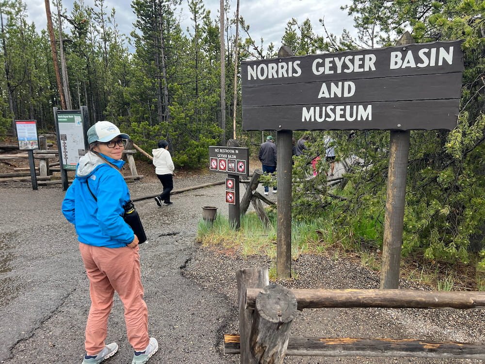 Norris Geyser Basin