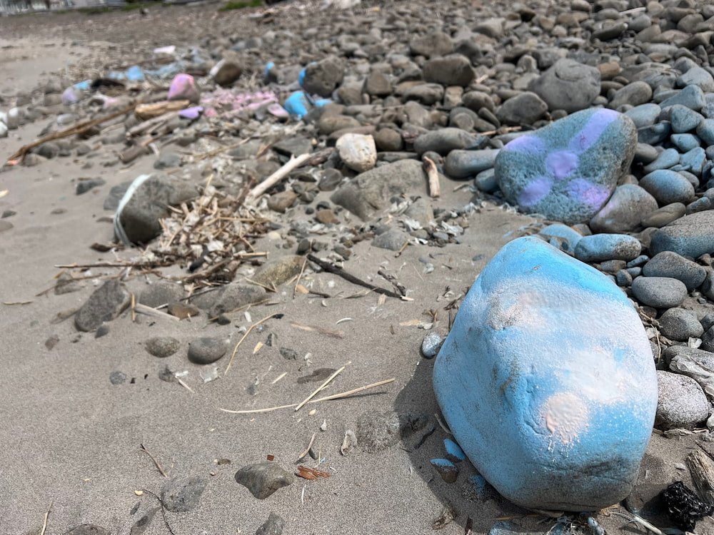 Painted Rock Beach
