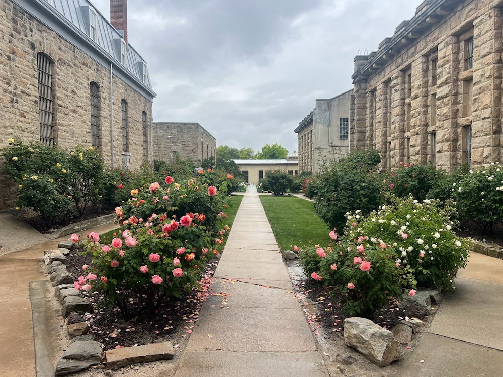 Rose garden in the old prison