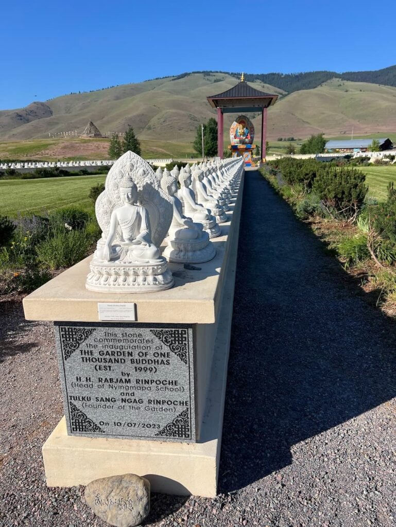 Some of the many Buddhas leading to the center