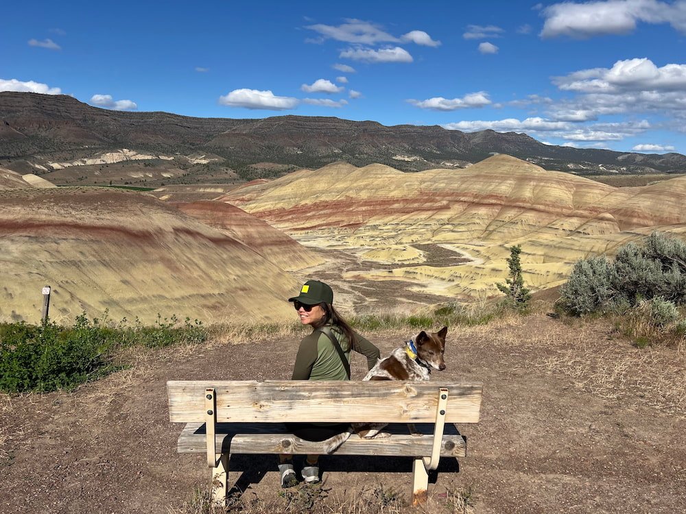 Taking in the views