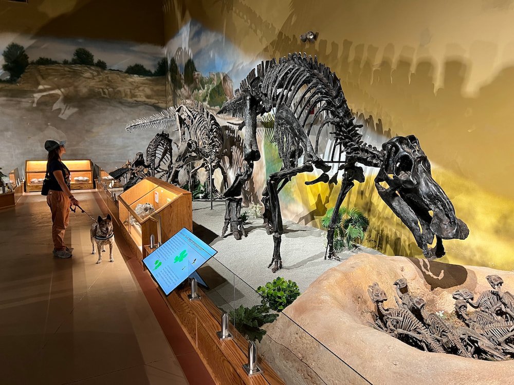 Wyoming Dinosaur Center