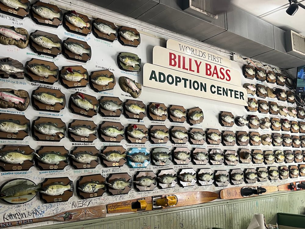 Billy Bass Adoption Center
